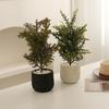 Decorative Artificial Potted Plant Small Size, Nordic Style Faux Green Bonsai for Indoor Desk Decor