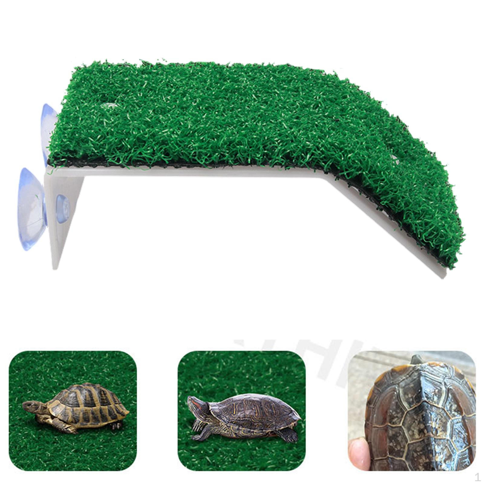 

for Reptiles with Climbing Ramp, Cave Hideaway And Feeding Area. Made of PP, Stable Easy to S