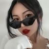 Cat Eye Sunglasses Women Glasses for Women Retro Brand Designer Sunglasses Women Irregular