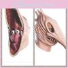 Erwachsene Beetlejuice Barbara Adam Monster Maske Halloween Maskerade Party Cosplay Kostüm