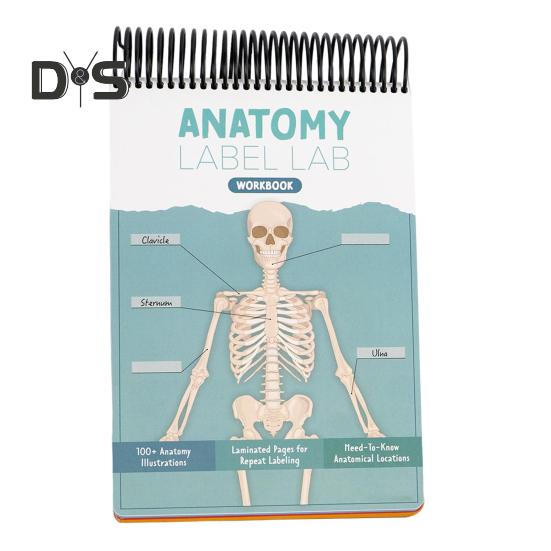 

Анатомия Этикетки Лабораторная рабочая тетрадь Иллюстрации по анатомии человека Рабочая тетрадь 100+ полноцветных страниц для сухого стирания Образовательный ресурс для студентов Профессионалы зелёный