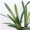 Study Decorative Artificial Clivia Leaves Plants Fake Flower Bedroom Decoration Simulated Cymbidium Leaf Green Plant Floral