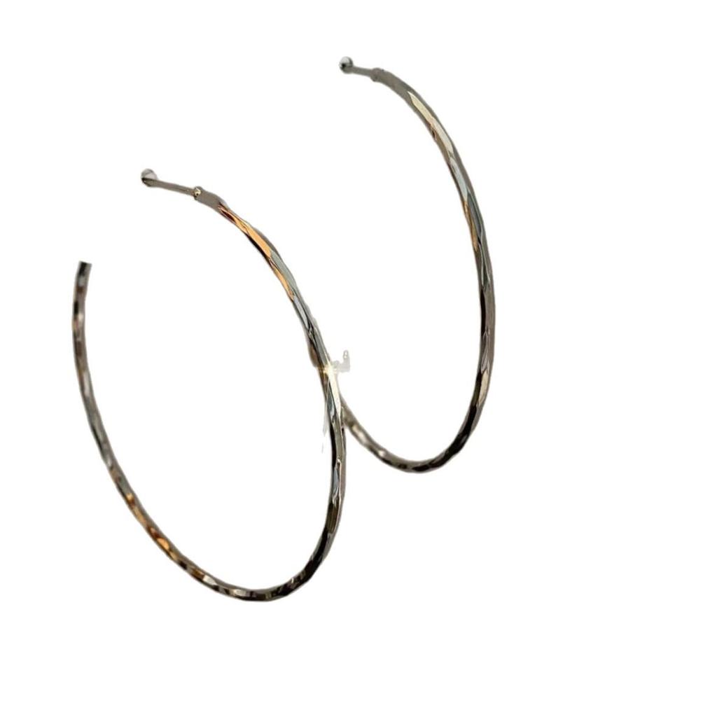 Stylish Silver Needle Round Hoop Earrings: Simple, Fashionable, Versatile, with a Light Luxury Feel
