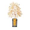 Natural Crystal Money Tree of Life Feng Shui Ornament - Ideal Housewarming Gift