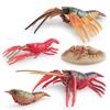 Vibrant Plastic Lobster Lifecycle Model Educational Toy Perfect For Marine Biology Studies