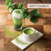 En Specialty Store Oi Ocha Matcha Perfect for Matcha Sweets and Baking [Ito Official] (30g Can) -