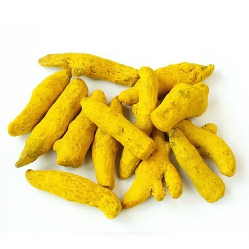 Ashapura Sabut Haldi | Whole Turmeric Sticks (200gm) | Organic Haldi Sabut Gathiya | Dry Haldi for Cooking Medicinal Use | Quality Turmeric Whole f