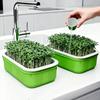 2Pcs Plastic Germination Tray High Ventilation Hydroponic Planting Tray  Greenhouse Supplies