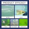 Aquarium Algaecide Fish Tank Water Cleaner Reduces Waste Sludge Restores Water Growth 100ML