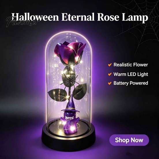 Spider Theme Party Props Halloween Indoor Light Up Rose In Plastic Dome Cloche, Artificial Preserved Decorative Glass Cloche Display Night with