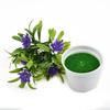 Artificial Flowers Plant Pot Simulate Fake Plastic Flowers Home Office Decor Gift Desktop Bonsai Wedding Party Balcony Ornaments
