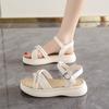 Roman Sandals Women's Summer Wear 2025 New Fashion Versatile Fairy Style Platform High Heels Women's Muffin Shoes