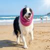 Quick Dry Pet Dog Earmuffs Elastic Mesh Dog Ear Cover Comfortable Pet Neck Gaiter  Dog Walking