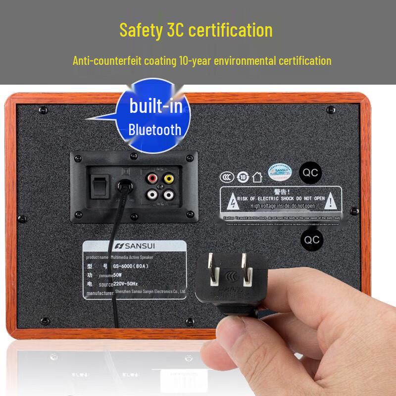 SANSUI 6.5-inch Wooden Subwoofer for TV & PC Karaoke