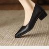 Fashion 2025Women's Coarse Heel Shoes Spring New Pointed Head Shallow Mouth Soft Sole Waterproof Non-slip Low-top Shoes