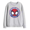Spidey And His Amazing Friends Childrens/Kids Great Responsibility Sweatshirt