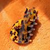 Bengal Cat Hair Clip - COUCOU SUZETTE