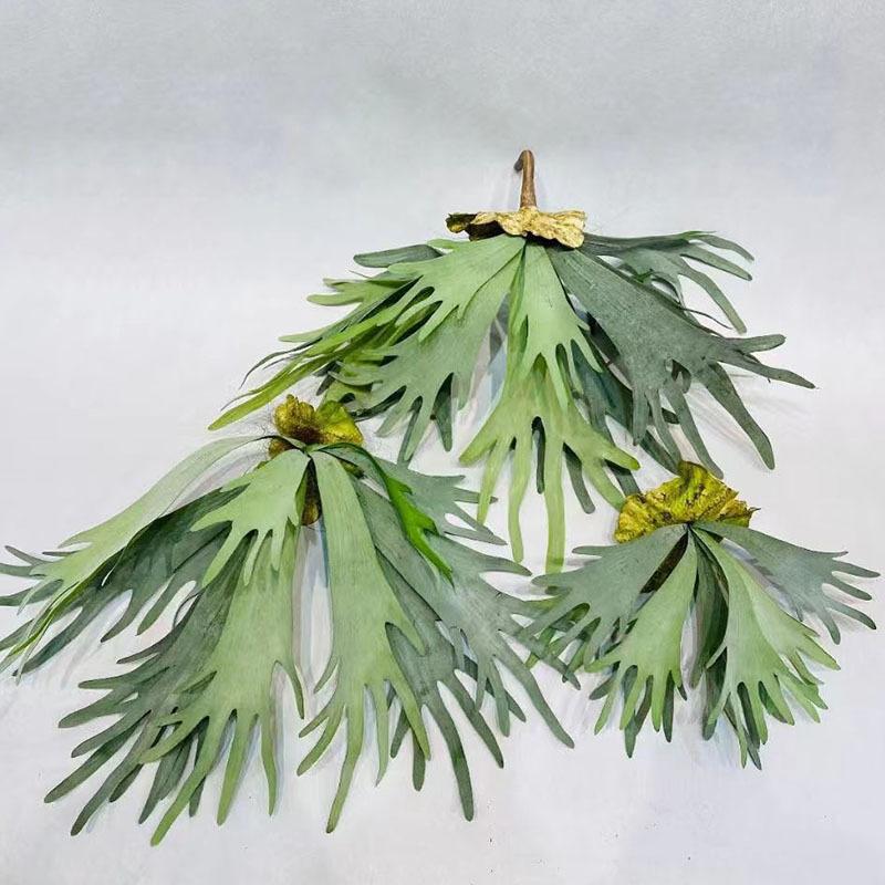 New Artificial Deer Antler Leaves Pteridophyte Artificial Flower Succulents Plants for Home Wedding Outdoor Floor Decoration