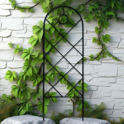 Spalier Metalic de Grădină Suport pentru Plante Agățătoare Rezistent la Uzură Decorativ Suport de Sârmă pentru Plante