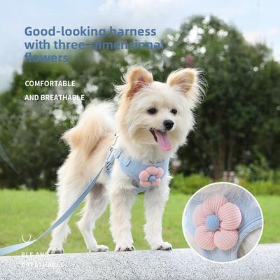 Cani – Collari e guinzagli per cani