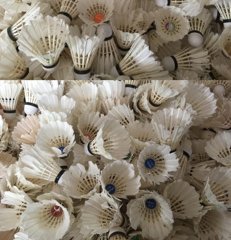 Pre-owned Durable Badminton Training Balls - Box of 6 (70% New)