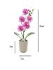 Creativ Opt Capete Film Phalaenopsis Bonsai Floare Simulare Floare Falsă Simulare Ghiveci Artificial Decor Acasă Birou