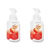 BBW 259ml 2 Packs PEACH BELLINI Gentle & Clean Foaming Hand