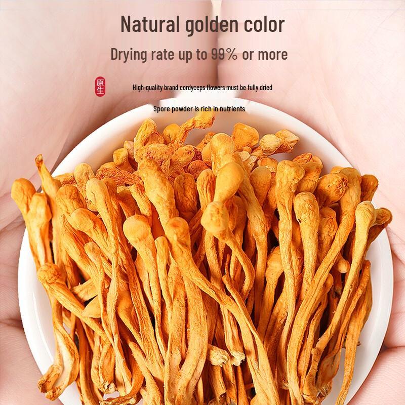 Fudonghai Dried Cordyceps Flowers