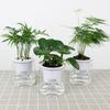 Stylish and Functional Automatic Water Absorption Flower Pot for Indoor Plants