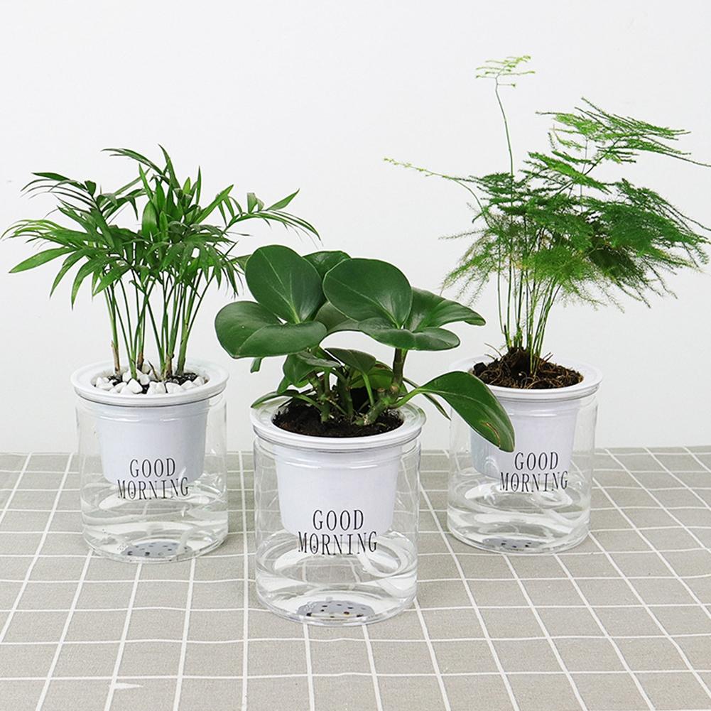 Stylish and Functional Automatic Water Absorption Flower Pot for Indoor Plants