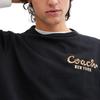 Coach Letter Pullover Round Neck Short Sleeve T-Shirt Men T-Shirts Black CZ933-BLK