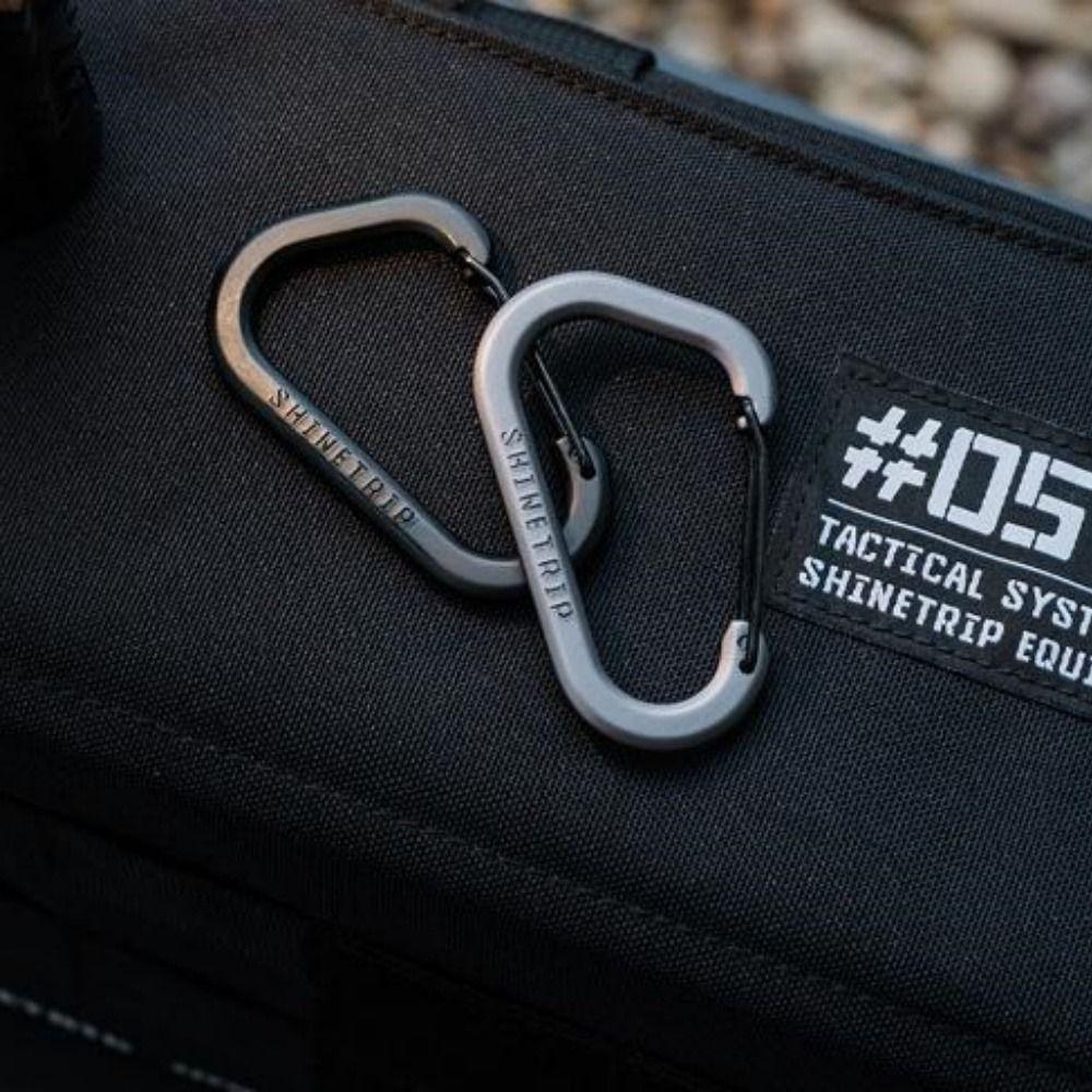 2pcs Stainless Steel Spring Snap Hook Safety Metal D-shaped Connection Buckle Carabiner Black/Grey Quick Release Diving Hook