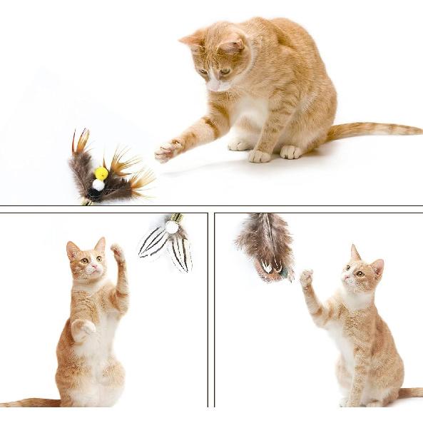 Cat ect Feather Toys Replacement Cat Toy Wand Refills, 6 Pieces Natural ect Cat Toy Feathers Refill, Interactive Cat Teaser Wand Attachments, with