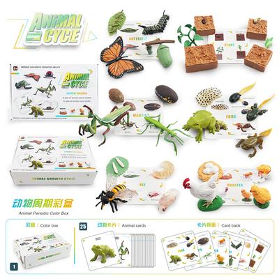 25 Simulierte Insektenwachstumszyklus-Karten Set Pflanze Biene Schmetterling Frosch Gottesanbeterin Modell Ornament Spielzeug