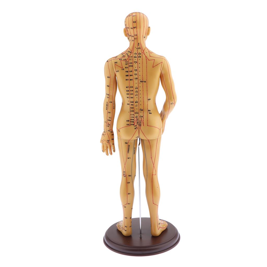 Figure, Male / Full Body