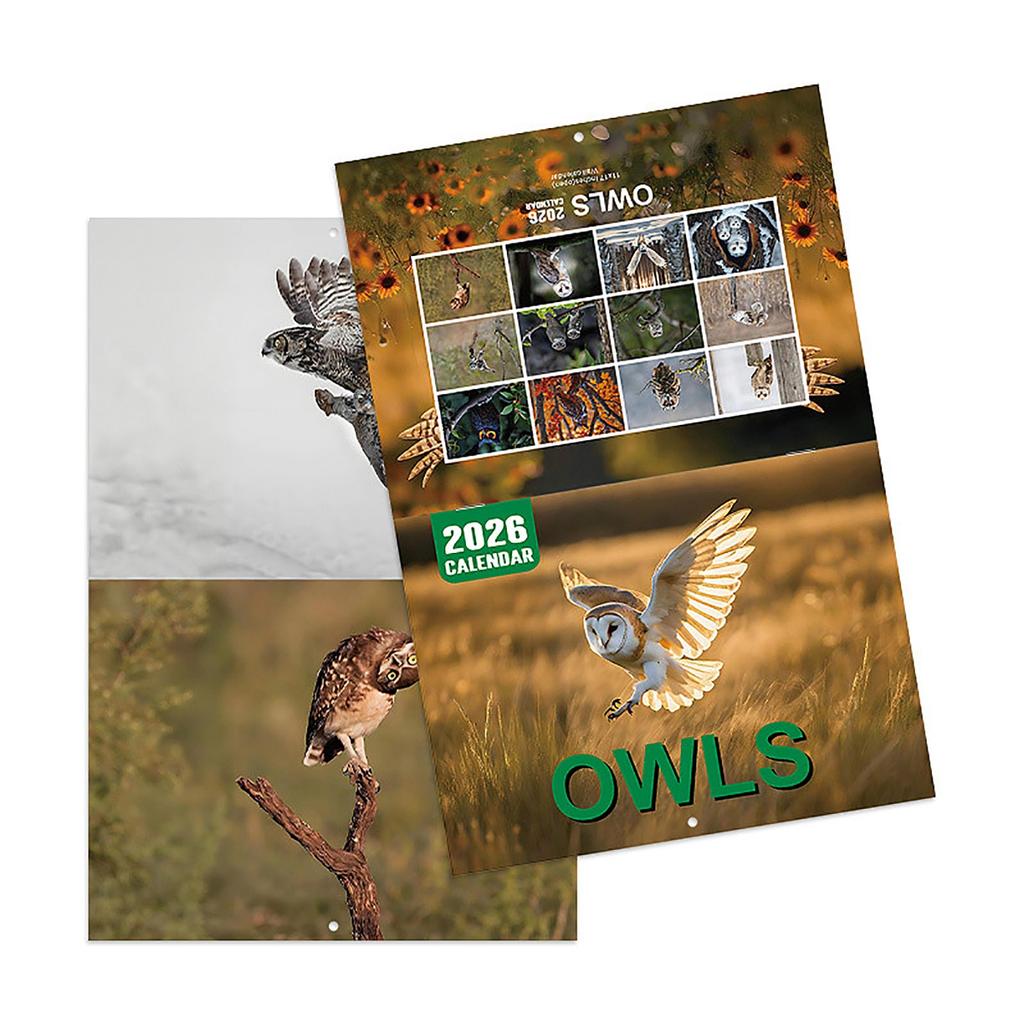 Owl Themed Perpetual Calendar – Reusable Wooden Flip Calendar Desk Ornament