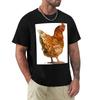 Top – T-shirts