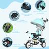 6-in-1 Children's Tricycle, Canopy, 5-Point Harness, Footrests, Brake, 1-5 Years, Green