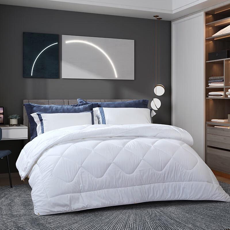 FUANNA 'Qingxin' Warm Winter Thick Quilt