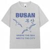 T-shirts Graphiques Mouette de Busan Style Coréen Hommes Femmes Harajuku Mode Vintage Années 90 T-shirt Coton Surdimensionné Décontracté T-shirt Cadeaux