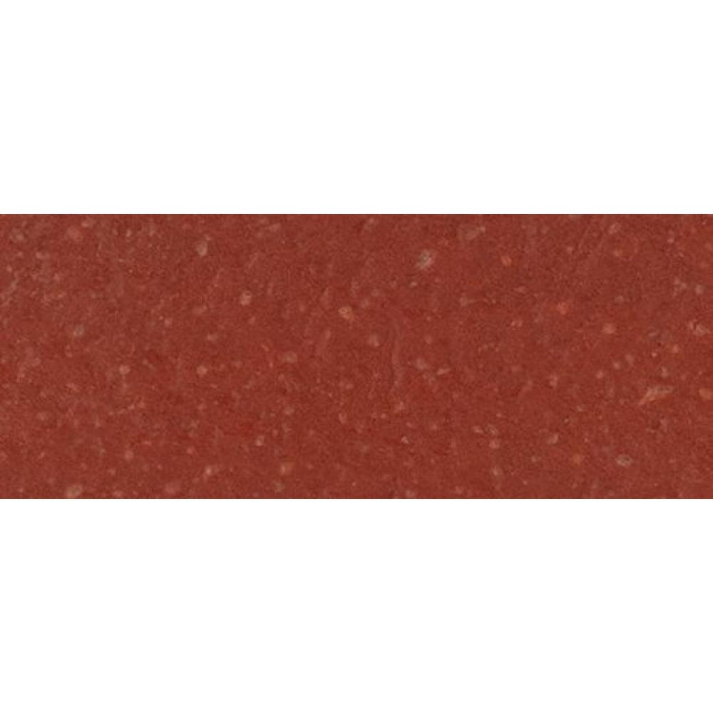 Coach Talia Watch 22 Mm Caz14 Saddle