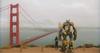 Bumblebee DVD Blu-ray + [Blu-ray]