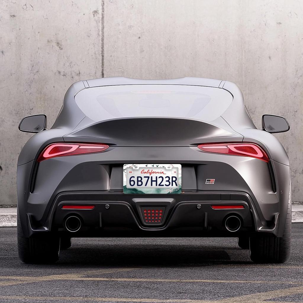 Mounta Cherry Blossom License Plate Frames - 2 Pcs Set 2 Holes Stainless Steel Metal Auto Car Accessories Decoration License Plate Frame Cover Size