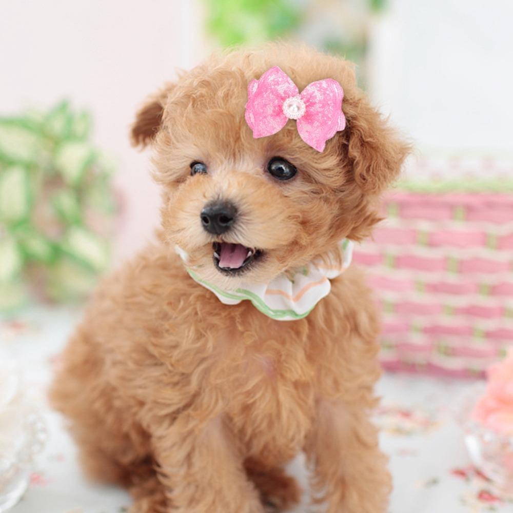 20Pcs Non-elastic Dog Hair Flower Bow Shape Pet Lace Headwear Pet Bow Hair Band  Daily Decoration