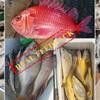 30-1Pcs Artificial Sea Worms Fishing Bait Lifelike Dry Lugworm Sandworms Saltwater Freshwater Soft Smell Fishing Lures Bait