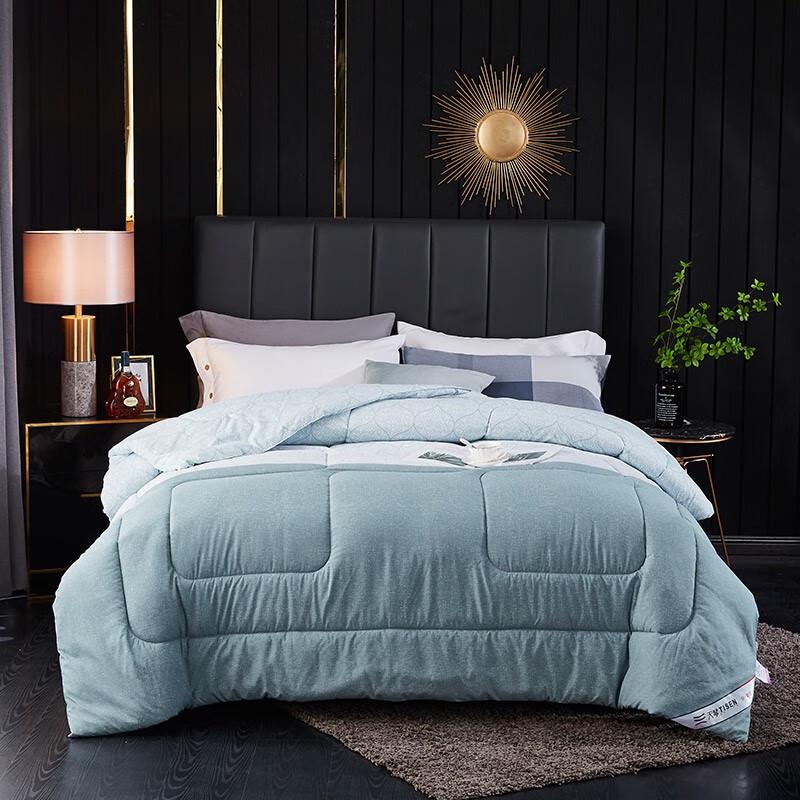 Tianqin Elegant Winter Double Comforter