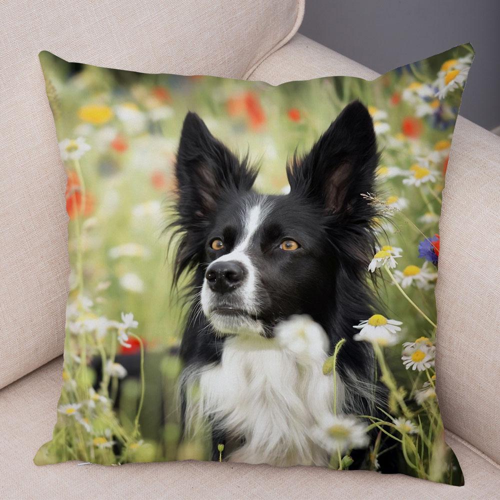 Cute Scottish Border Collie Pillowcase Dog Print  Decor Pet Animal Cushion Cover Sofa