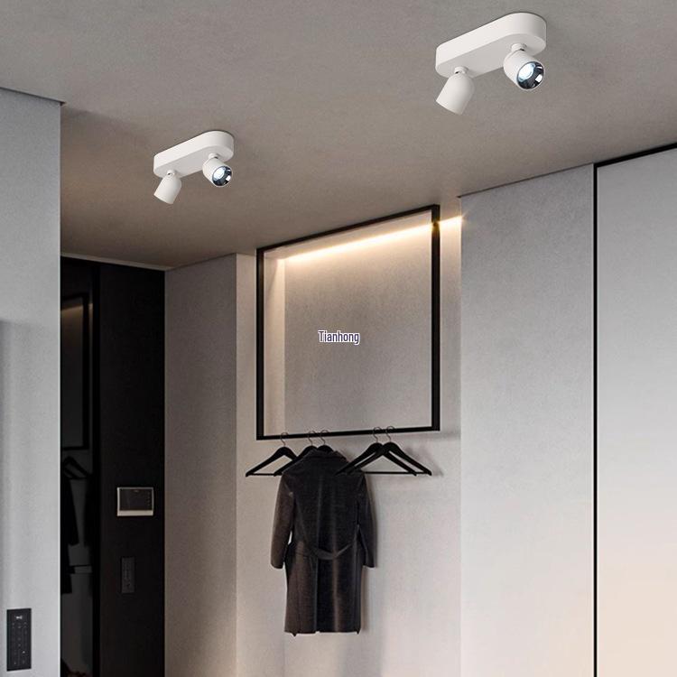 Adjustable Anti-Glare Folding Ceiling Spotlight with High Color Rendering for Household or Picture Lighting