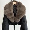 Chaquetas y abrigos – Chaquetas