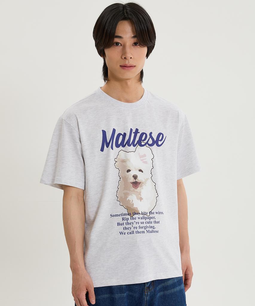 WAIKEI Cloud Illustration Short Sleeve T-Shirt Melange White